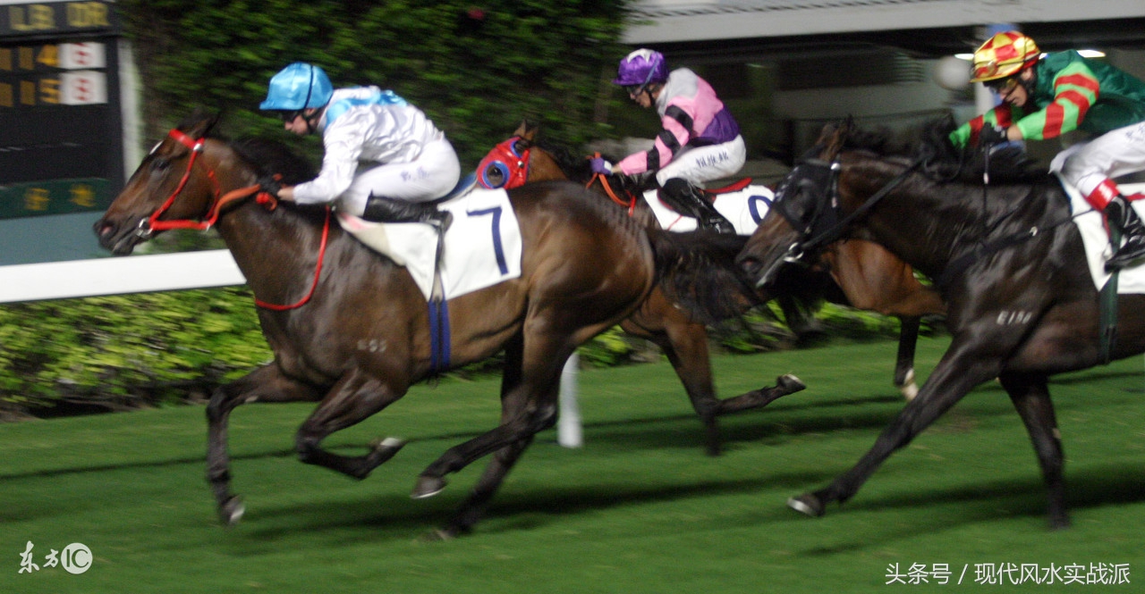 风水命理知识点大全图解,生肖与风水方向冲合