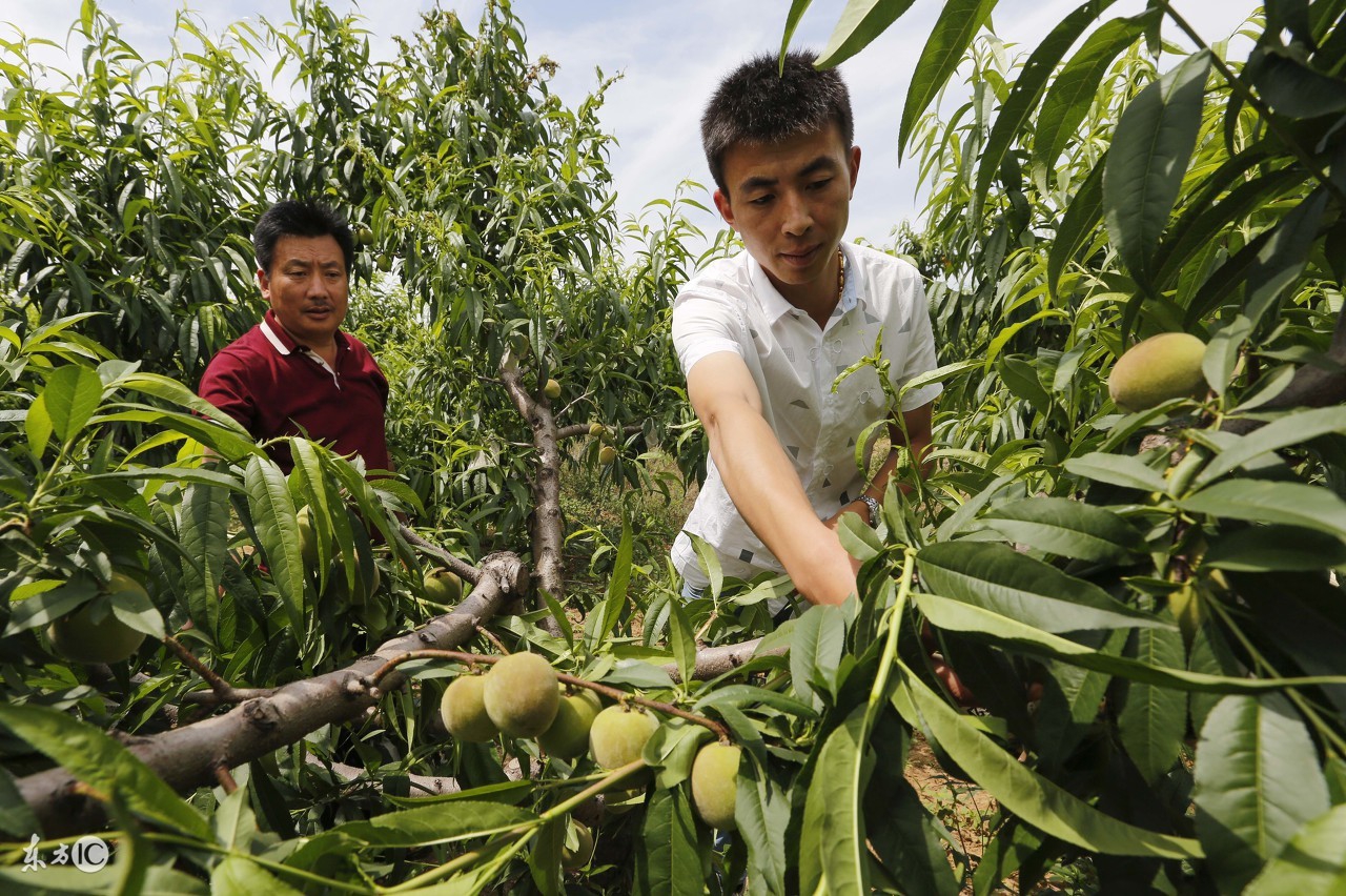 农业创业投资基金,农业创业投资引导基金