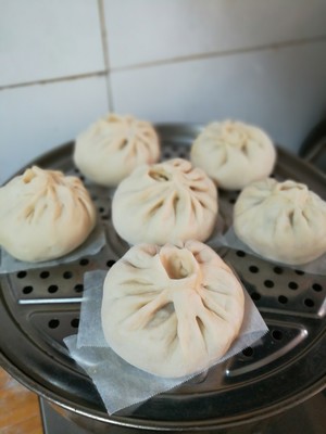 自制山东猪肉白菜大包子，按照这个步骤做就对了