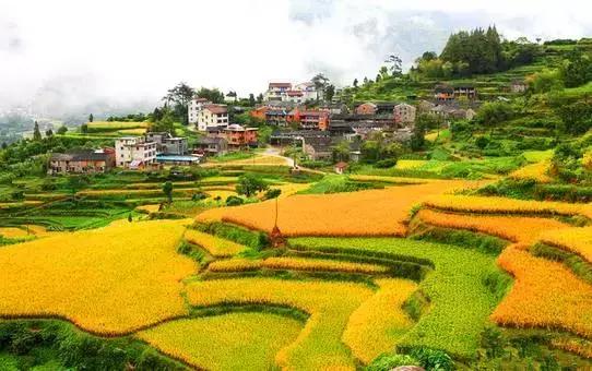 2019国内最美旅行时间表出炉,浙江最美旅游日历