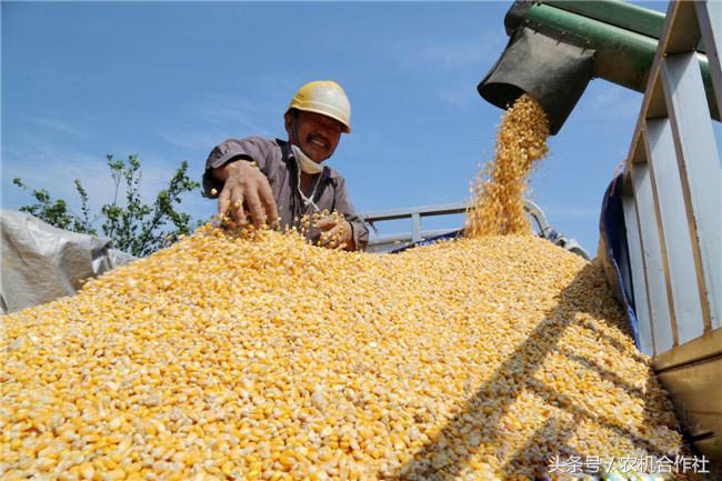 养殖合作社补贴申请,合作社补贴查询