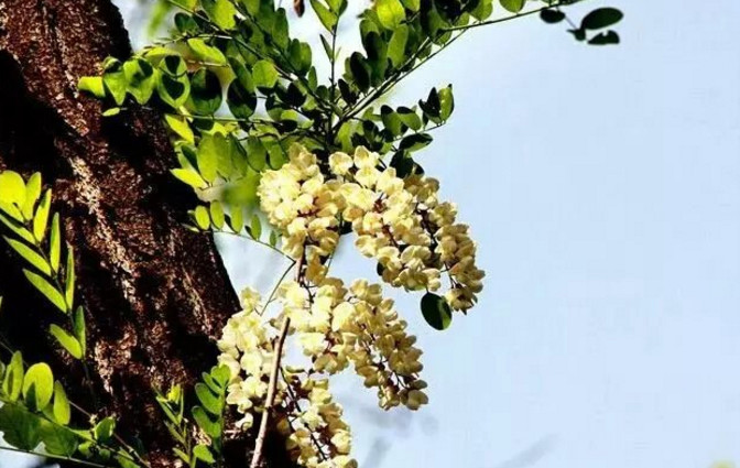 与上司说话不紧张的技巧,和领导说话紧张反应慢怎么办