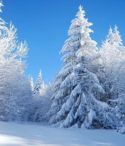 郭健羽毛球,郭健泰拳