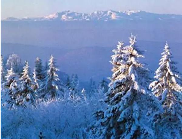 郭健羽毛球,郭健泰拳