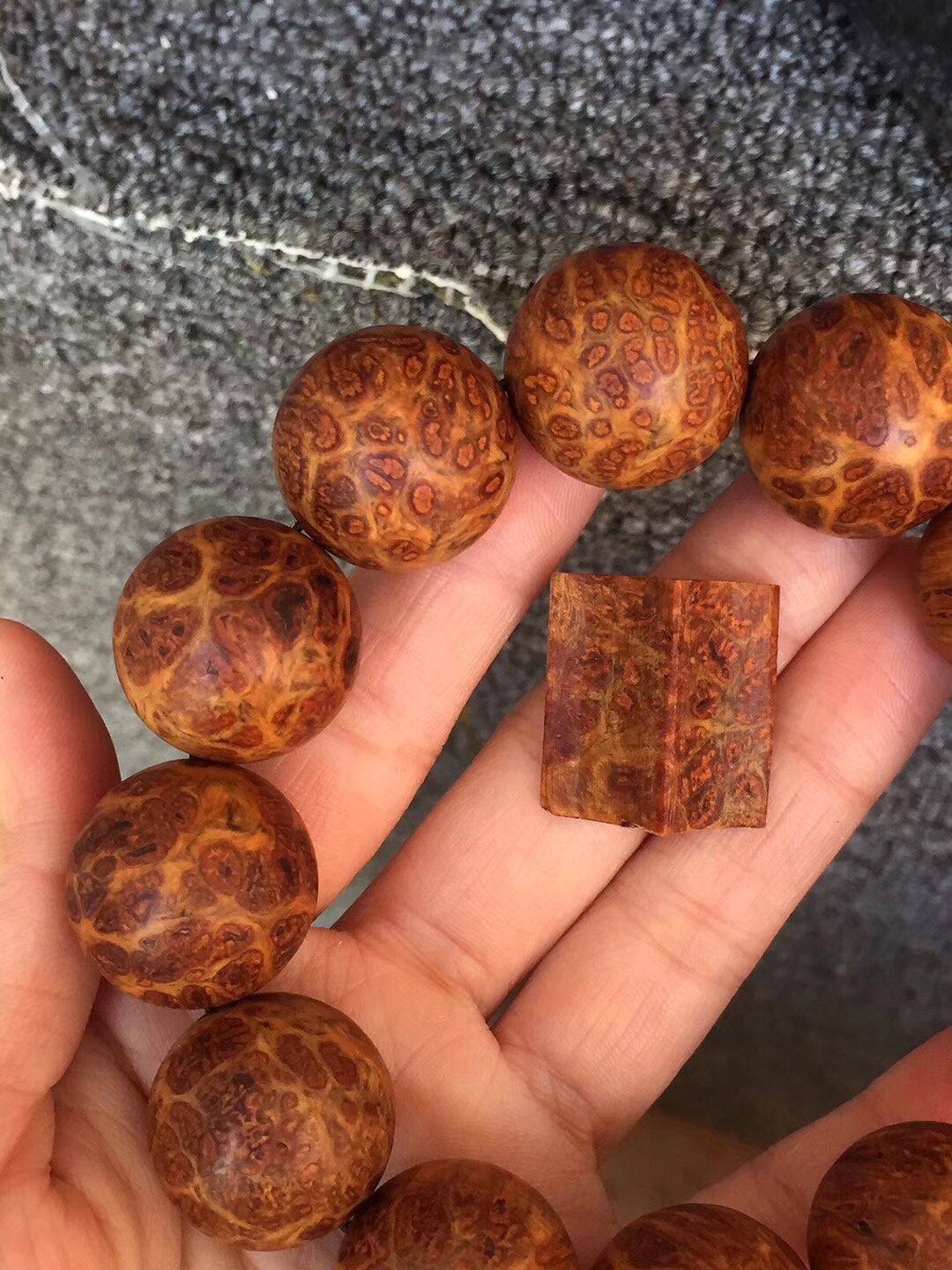 太行崖柏手串透光,太行崖柏手串哪个纹理最好