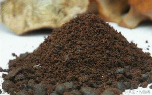 人工合成麝香泡酒钓鱼,麝香酒钓鱼的正确方法