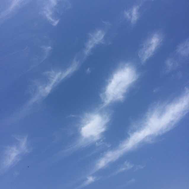 男子做节育手术后分手,男子做手术后续