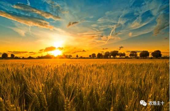 我们的农场这么多好产品，你却千里迢迢去买假货？！