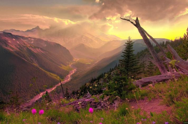 与上司说话不紧张的技巧,和领导说话紧张反应慢怎么办