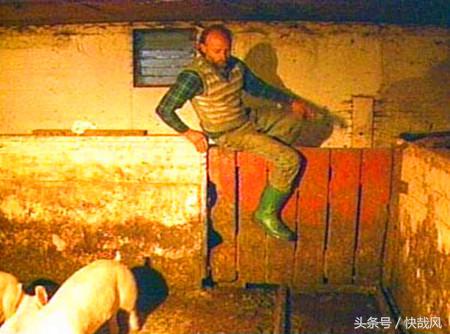 1980年恐怖连环杀人案,养猪场发现女尸