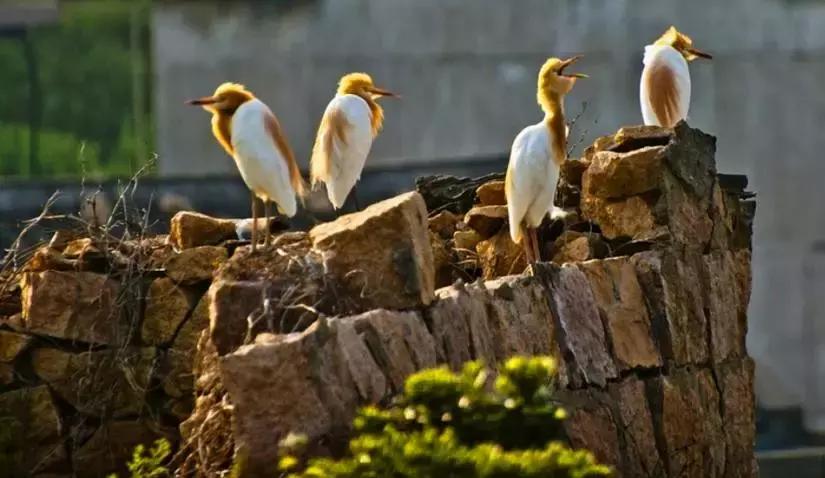 2019国内最美旅行时间表出炉,浙江最美旅游日历