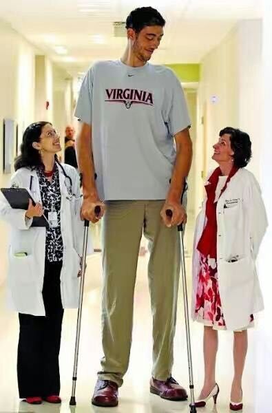 世界上最奇葩的人体器官,世界最复杂的人体器官排名