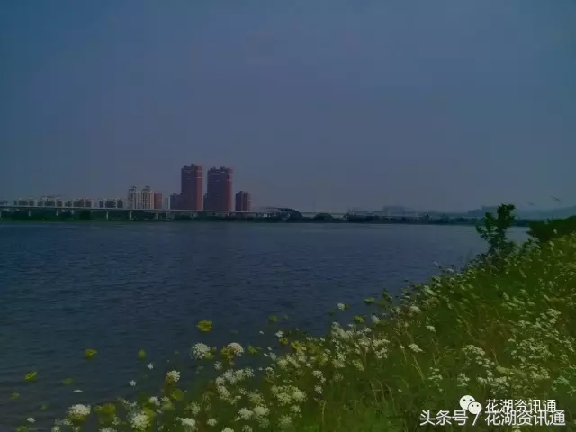 独家私藏花湖风光：醉美花湖的挑战与机遇