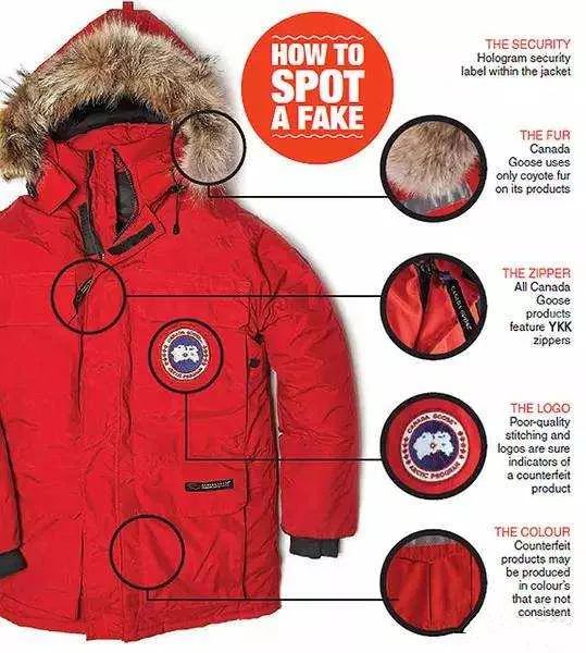 怎么分辨真假moncler羽绒服漫画图,monlambo羽绒服怎么辨别真假