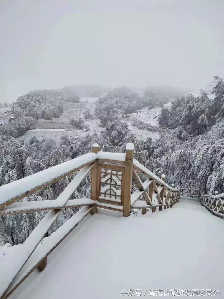 青海湖冬日浪漫,深秋的青海还是很美