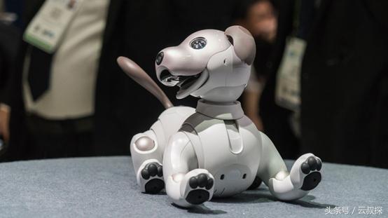 ces机器人,2021ces的黑科技