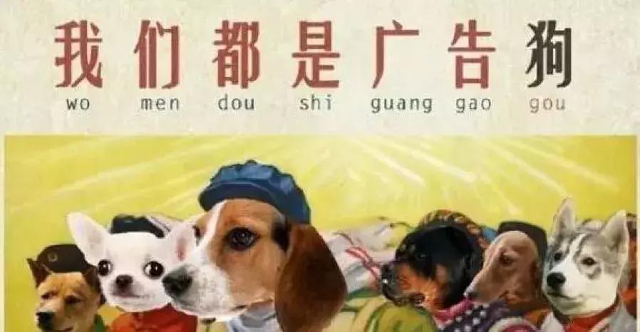 2022年晒账单的视频,2017年账单