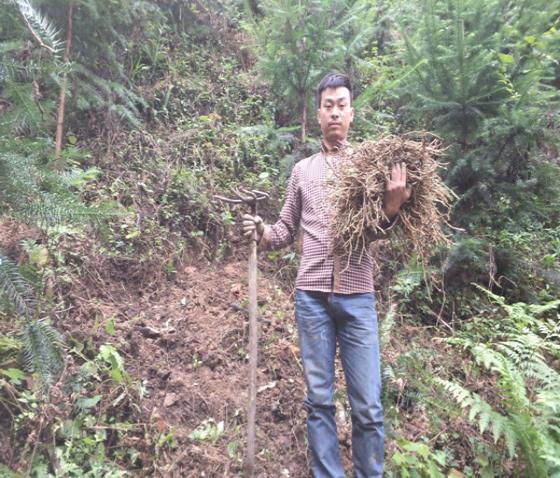 「苗侗祖源绿色榕江」深山创业夫妇：为梦想的火苗添把柴