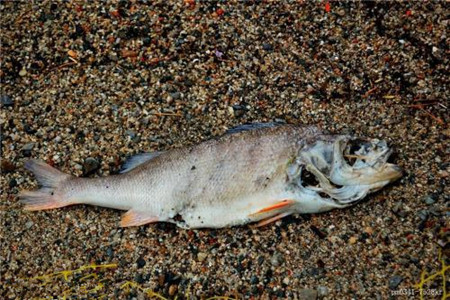 遇到乞讨的人你会帮助吗,遇到乞食的可怜人