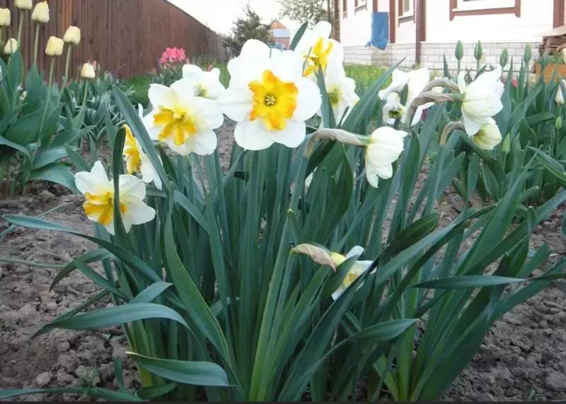 外贸常识500条,外贸营销100个常识