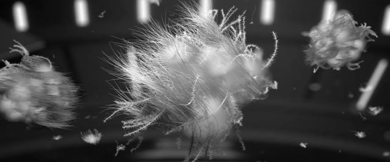 怎么分辨真假moncler羽绒服漫画图,monlambo羽绒服怎么辨别真假