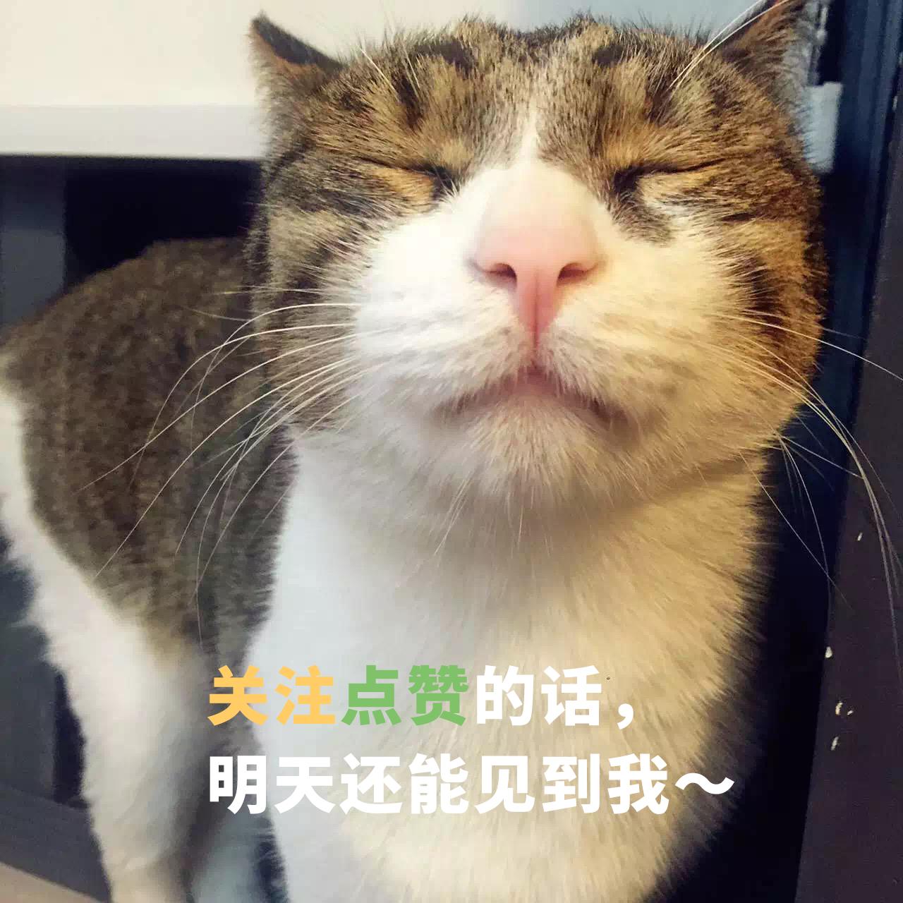 上海最好吃的麻辣面馆,上海最好吃的面条店