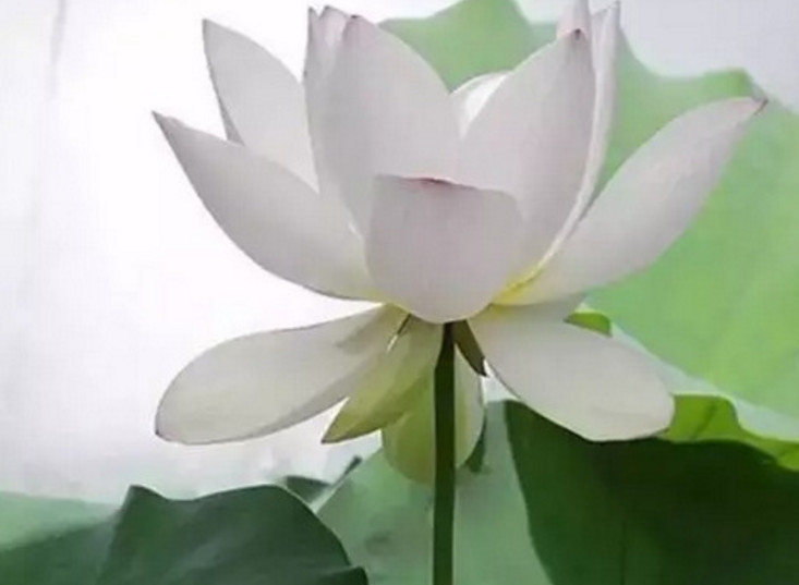 和同事有误会该怎么解决,和同事产生误会怎么消除