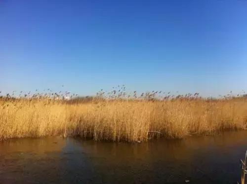 纳兰词最凄美的句子,纳兰性德凄美词