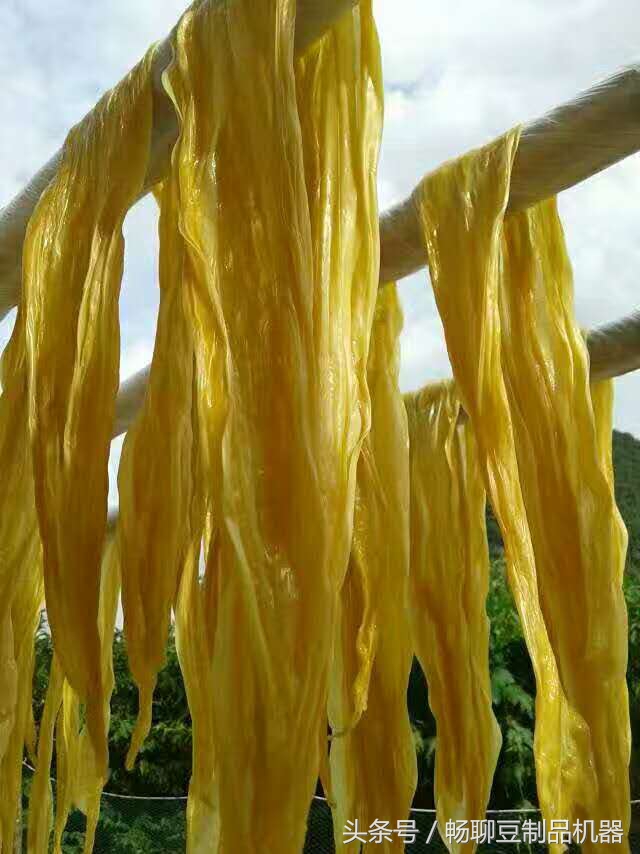 腐竹制作厂机器怎么操作,全自动腐竹制作机器设备