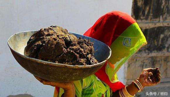 生育的真相,生育真相