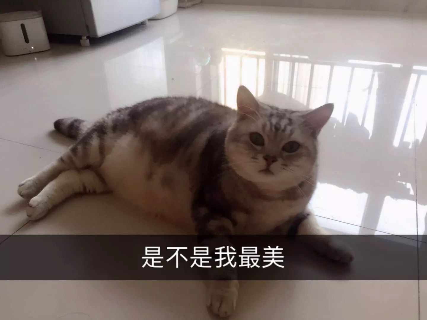 干货｜臭臭臭！怎么办？只需2秒，轻轻一喷，彻底告别尴尬！