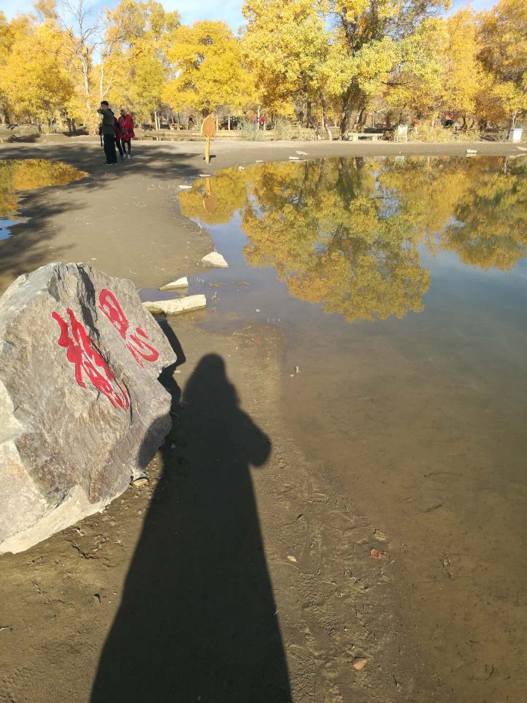 西北胡杨林旅游攻略,大西北环线胡杨林十日游