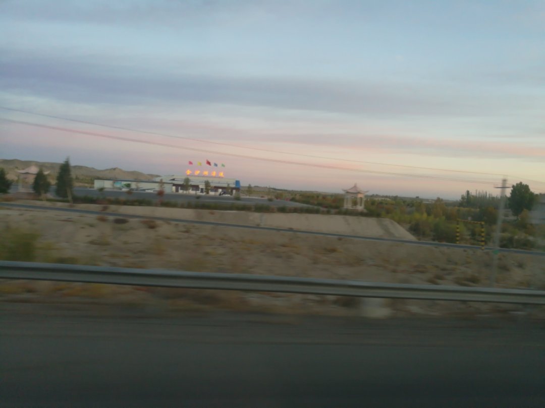 西北胡杨林旅游攻略,大西北环线胡杨林十日游