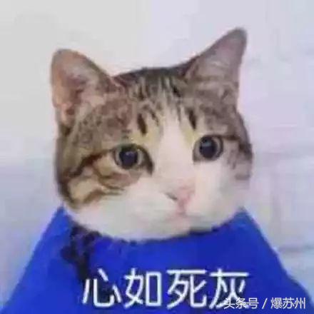 张家港平均工资多少,张家港平均工资2019