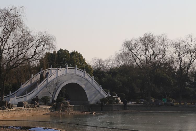 周一漫步隋唐植物园赏桃花,洛阳隋唐植物园春光