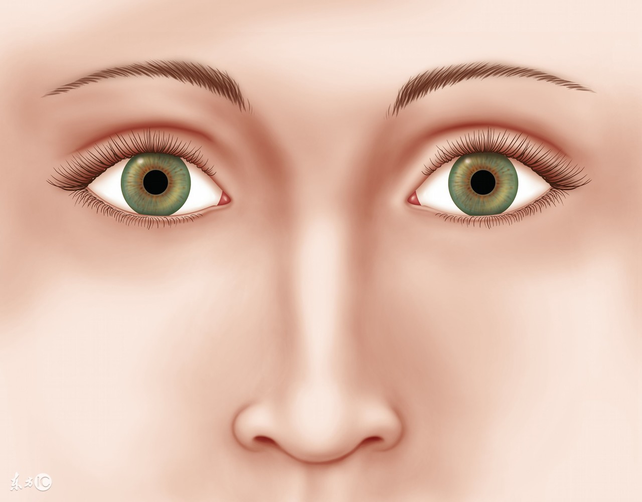 小气鬼的男人面相,小气鬼的面相图