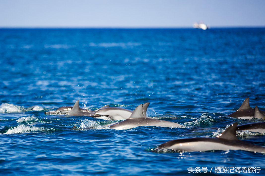 前任3林佳最后一个人出去旅游,前任3林佳走的片段