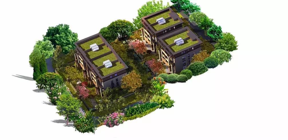 世航四合院户型图,世航四合院