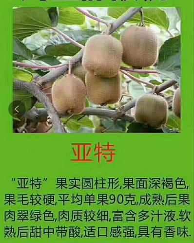 猕猴桃为什么又酸又涩,猕猴桃放软了还特别酸怎么回事