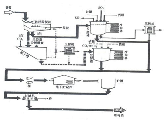 十张图教你成为葡萄酒专家,最完整详细的葡萄酒知识大全