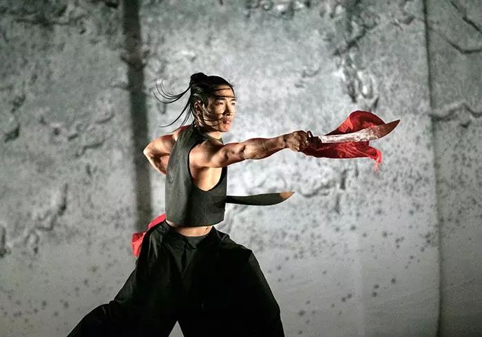 舞蹈与武术的结合之作,舞蹈与武术结合表演