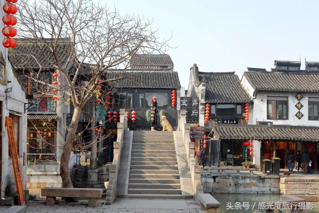 西塘民宿一日游攻略,春节西塘古镇一日游攻略