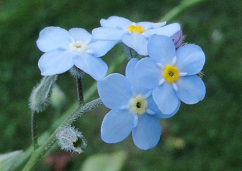 和同事有误会该怎么解决,和同事产生误会怎么消除