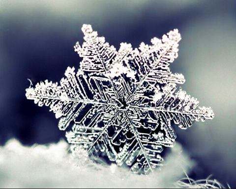 宝宝冬季咳嗽止咳水果,宝宝咳嗽便秘吃什么水果