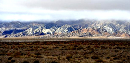 百万英雄出题需要答案么,百万英雄几道题