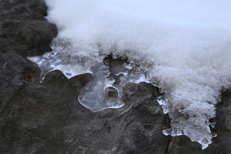 周一漫步隋唐植物园赏桃花,洛阳隋唐植物园春光