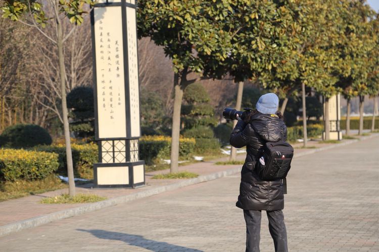 周一漫步隋唐植物园赏桃花,洛阳隋唐植物园春光