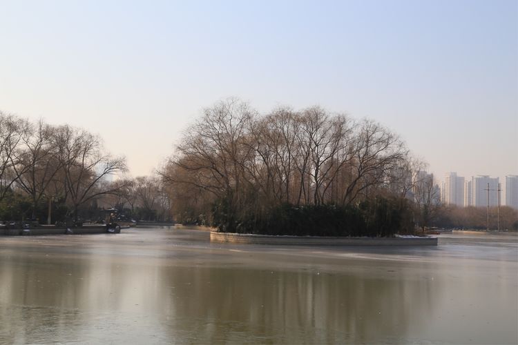 周一漫步隋唐植物园赏桃花,洛阳隋唐植物园春光