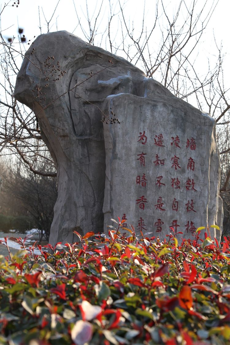 周一漫步隋唐植物园赏桃花,洛阳隋唐植物园春光