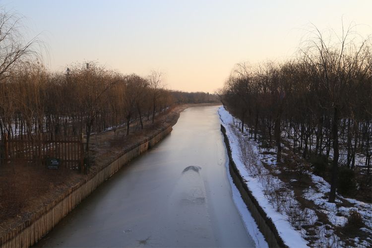 周一漫步隋唐植物园赏桃花,洛阳隋唐植物园春光